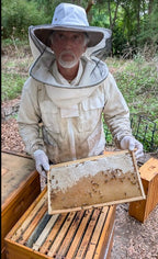 Wired Wax Medium Frames Assembled Pack of 20 No Plastic