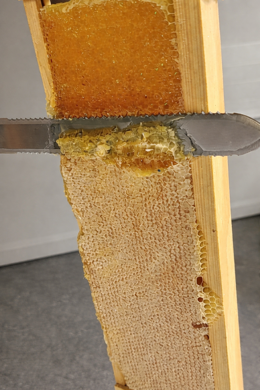 Beeswax: 2 Pounds of Spring Blossom Beeswax Bars  @ $15/lb  (Includes Free Shipping)