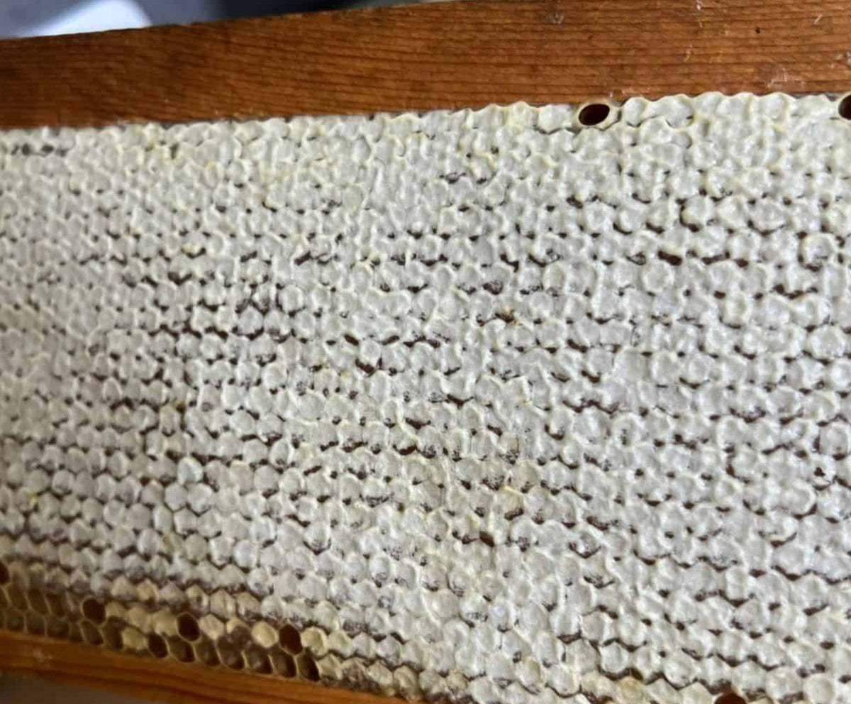 Beeswax: 6 Pounds of Spring Blossom Beeswax Bars  @ $12/lb  (Includes Free Shipping)