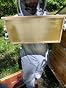 Homesteading with Birds -  Reviewed June 14, 2026