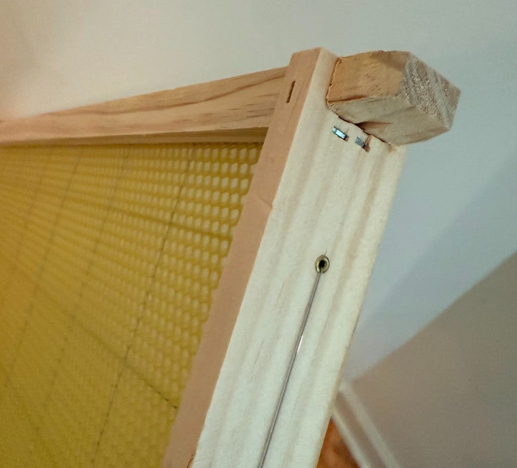 Wired Wax Medium Frames Assembled Pack of 20 No Plastic