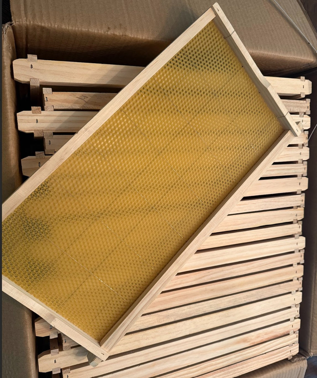 Wired Waxed Deep Frames Assembled